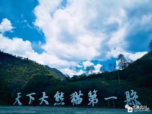 今晚国内油价调整！加满一箱92号汽油将多花8元